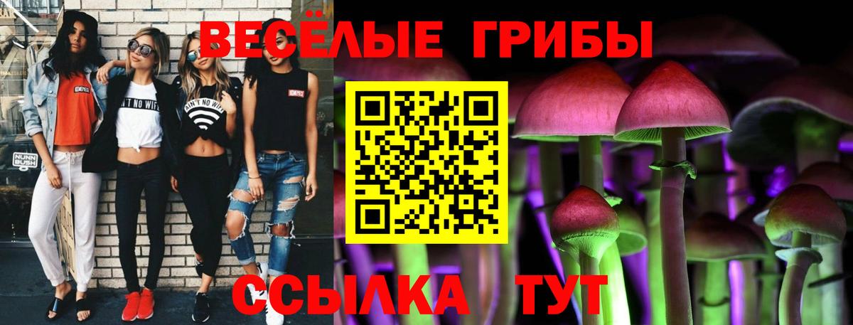 Галлюциногенные грибы Psilocybe  Вход с VPN  Электросталь 